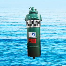 QS小型潛水電泵、QST660V特種電泵